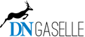 Gaselle